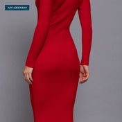 Long Sleeve High Neck Shoulder Button Detail Midi Dress — Close-up — AWARENESS