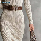 Ribbed High-Neck Long-Sleeve Midi Sweater Dress — Close-Up — AWARENESS