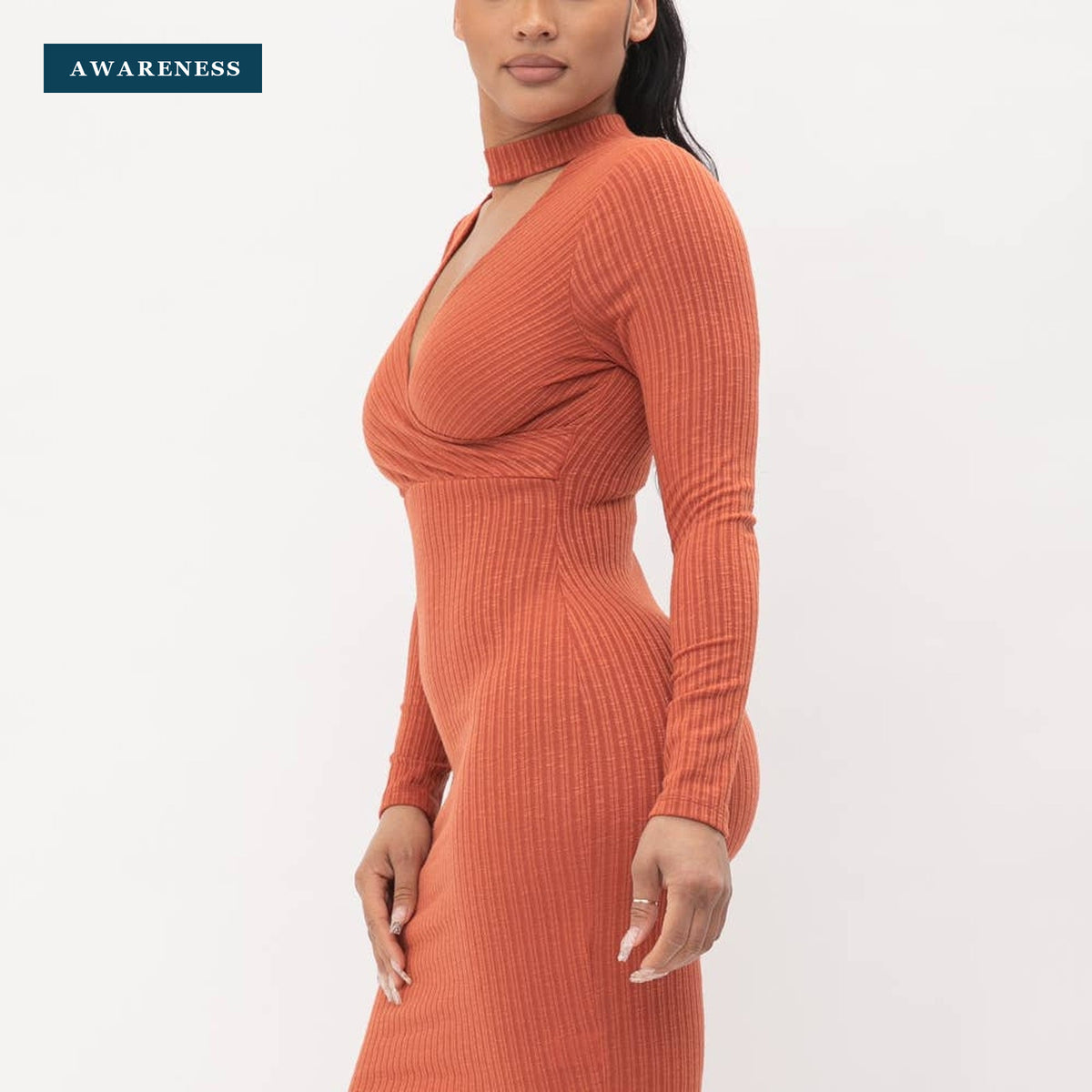 Choker Neck Long Sleeve Surplus Midi Dress — Lifestyle — AWARENESS